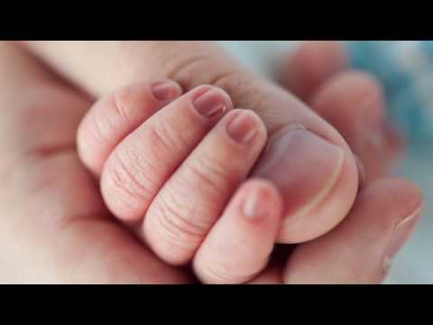 Il Germoglio di Iesse