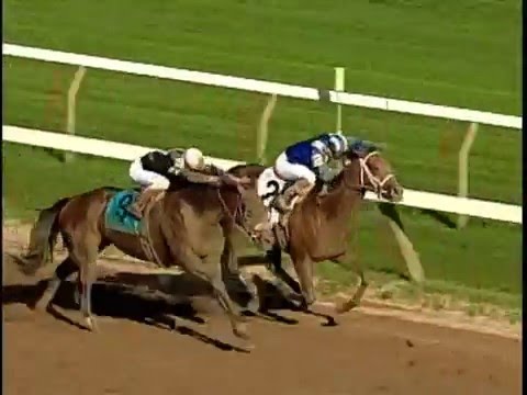 Eventual Horse of the Year Invasor Wins the 2006 Whitney Handicap