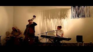 Under her wing and Out of order- Iiris Viljanen trio