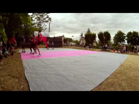 Démonstration Canne 2017