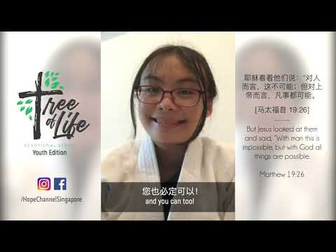 Ep 4 | What my aikido training taught me about God's providence