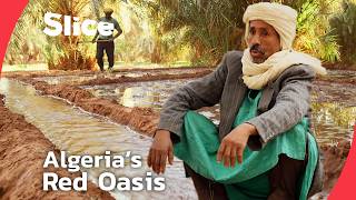 Timimoun’s Fight to Preserve Algeria’s Most Iconic Oasis Way of Life | SLICE | FULL DOCUMENTARY MQDEFAULT Thumbnail