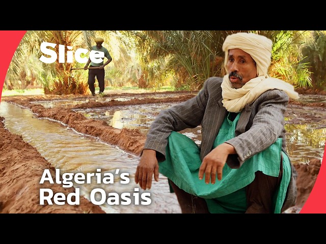 Timimoun’s Fight to Preserve Algeria’s Most Iconic Oasis Way of Life | SLICE | FULL DOCUMENTARY SDDEFAULT Thumbnail