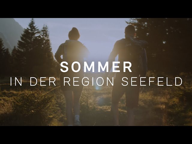 Reise-Video