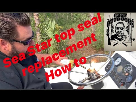 "SEASTAR HELM" TOP SEAL REPAIR (HOW TO)