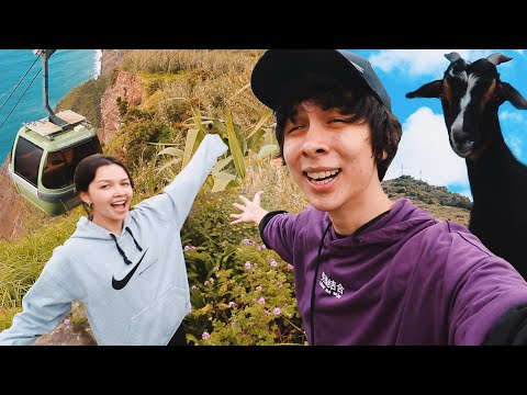 這個博客是有價值的，真的 (this vlog is goated, literally)