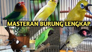 Download lagu Masteran Burung Lengkap  Dengan  Gemericik Air Mengalir mp3