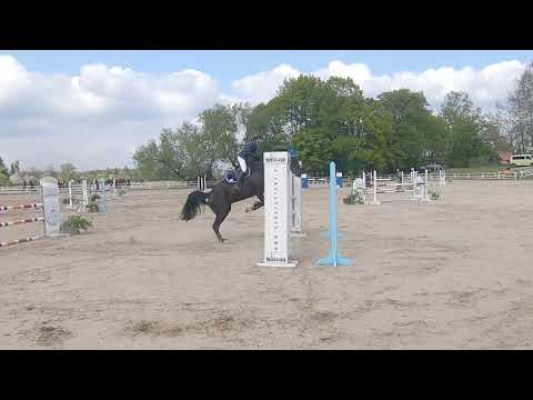 Zawody konne Gałkowo 11-12.05.2019r