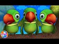 Main Tota Main Tota कालू मदारी आया And Many More Hindi Rhymes For Kids