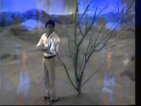 Kya Khoya Kya Paaya (Lyrics + Translation) Jagjit Singh, Lyrics: Atal Bihari Vajpayee