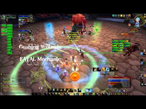 Angry Healers' Guides to Highmaul- The Butcher (Normal/Heroic)