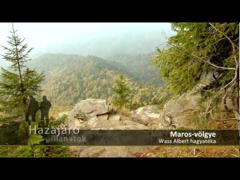 Hazajáró pillanatok - Maros-völgye - Wass Albert hagyatéka