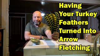 Having Your Turkey Feathers Turned Into Arrow Fletching