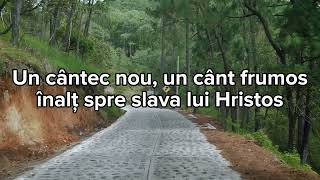 O nouă laudă oricând - Nicolae Moldoveanu | Cvartet Comorile Harului