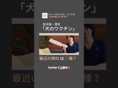 発情期の犬にワクチン接種はできますか?