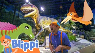 Blippi Visits Dinosaur Exhibition | Learn About Fossils for Toddlers | Educational Videos For Kids