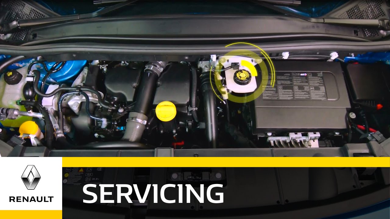 Brakes & brake fluid Renault Maintenance Renault UK