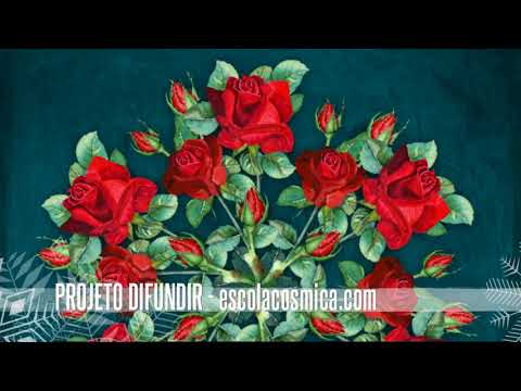 Ser Divino - Hinos de Despacho