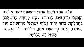 תפילת שחרית בניגון  - הושיענו