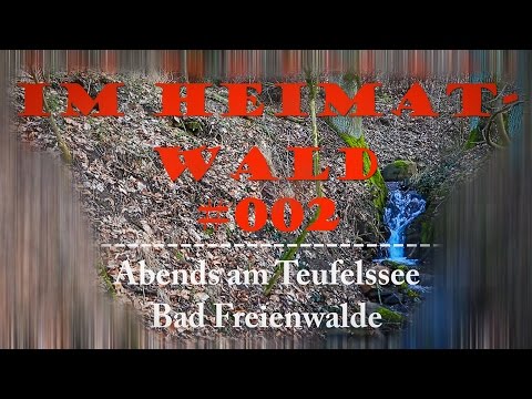 Abends am Teufelssee Bad Freienwalde - #002 Im Heimatwald