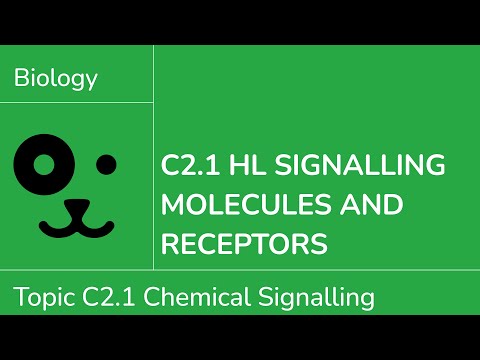C2.1 HL Signalling Molecules and Receptors [IB Biology HL]