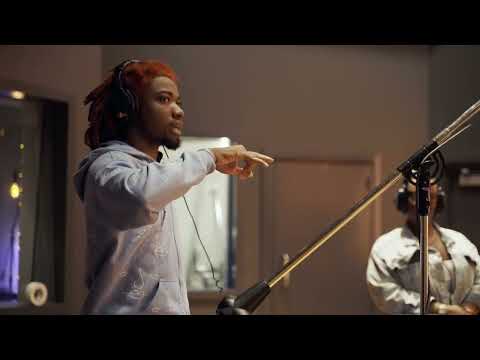 the creation of sankofa