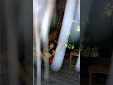 Mikado Natural Lodge | Hotel Near Tamarindo & Playa Avellana,Costa Rica #amazingdestinations