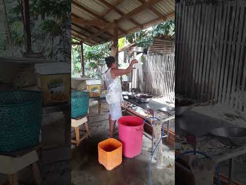 asai do nosso sítio em Santa Bárbara do Pará