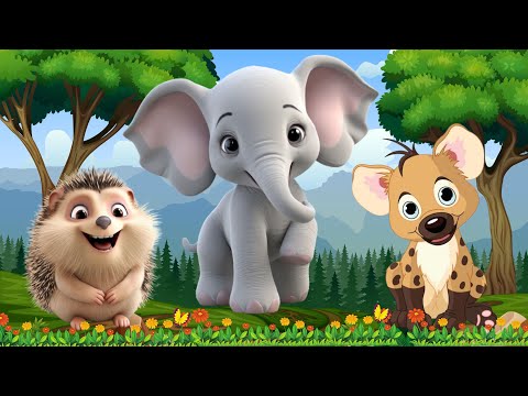 Cute Animal Moments - Hyena, Elephant, Ladybird, Moorhen - Animal Videos