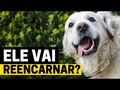 Reincarnation and the Soul of Animals by Chico Xavier