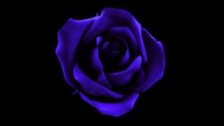 I Know Him So Well | cover Barbra Streisand