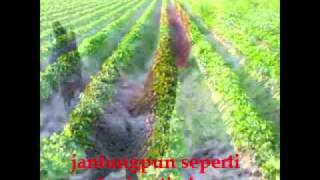 Ebiet G Ade ~ Mimpi-Mimpi Yang Kandas