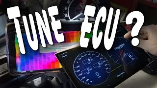 What is Tune ECU