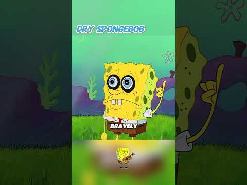 Do you know what happens to SpongeBob when he's out of water? #spongebob