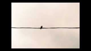 Best Coast - Storms (Fleetwood Mac Cover)