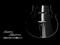 Sundari Kannal Oru Sethi Violin Cover Tamil Whatsapp Status BGM