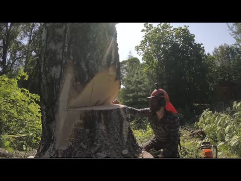 Rinnan korkeus ympärysmitta 3 metriä.