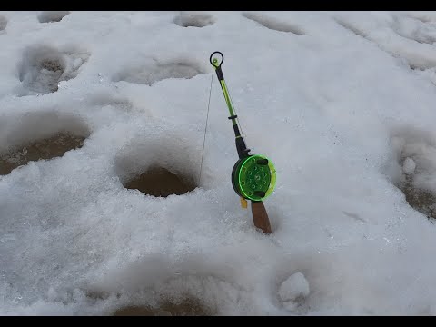 Kirjolohen pilkintää 2021! Jurvan Säläisjärvi