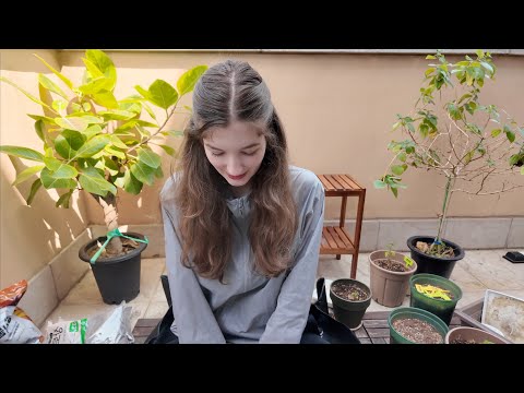 한국에 정말 봄이 왔어요!