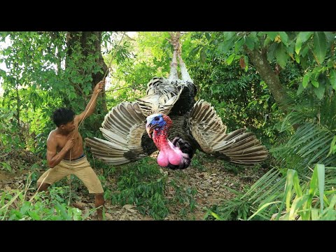 adventure in forest - use sound Hunting turkey - hungry men Eating turkey delicious