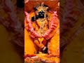 Banke Bihari Ji Ke Darshan WhatsApp Status