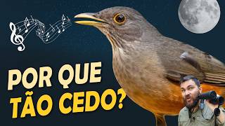 Miniatura do vídeo