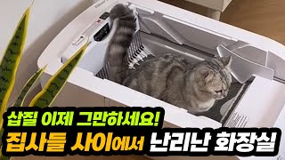 매일 삽질 NO! 😹 냥이도 편안한 오픈형 자동 화장실 리뷰! 고양이 화장실 추천 청소 고민 끝!