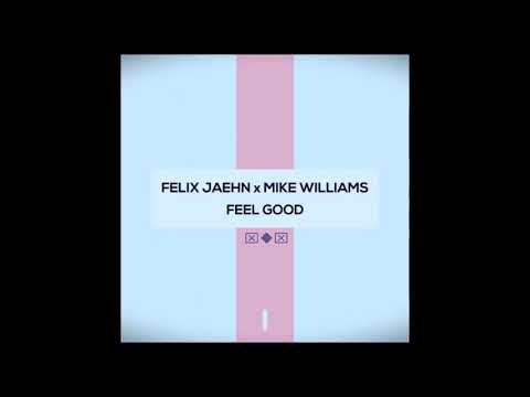 FELIX JAEHN X MIKE WILLIAMS - FEEL GOOD[ESI Remix]