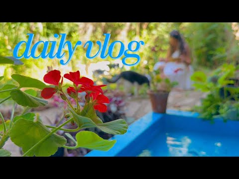 How to start our day well. Lemonade on a hot summer day with me and my cats. شربت آبلیموی تابستانی