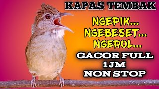 Download lagu KAPAS TEMBAK || gacor full 1 jam non-stop ngepik, ngebeset, ngerol mp3