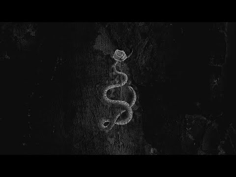 [FREE] Old School Boom Bap Type Beat "Division" | Underground Hip Hop Rap Instrumental | Doz Beats