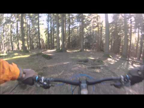 Schliersberg/Rhonberg Trail Richtung Fischbachau