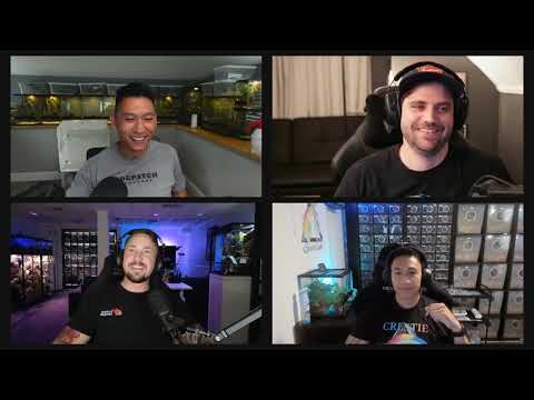 New Breeder Hangout w/ Crestie Spectrum & Super Yamori | Ep. 42 of The Gecko Pod