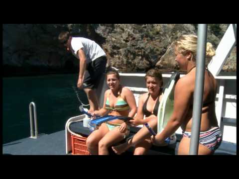 Perfect Day at the Poor Knights Islands Marine Reserve